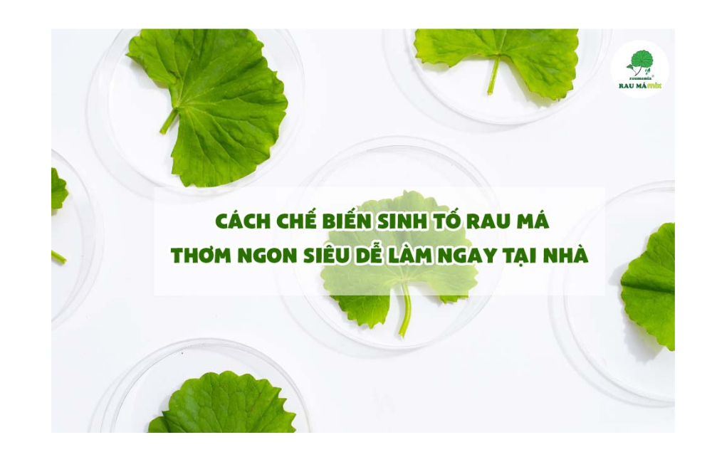 CÔNG DỤNG RAU MÁ ĐẬU XANH TUYỆT VỜI CHƯA AI NÓI CHO BẠN BIẾT! - Rau Má ...