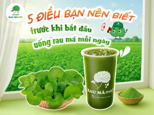 công dụng của rau má