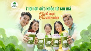 7 lợi ích sức khỏe từ rau má