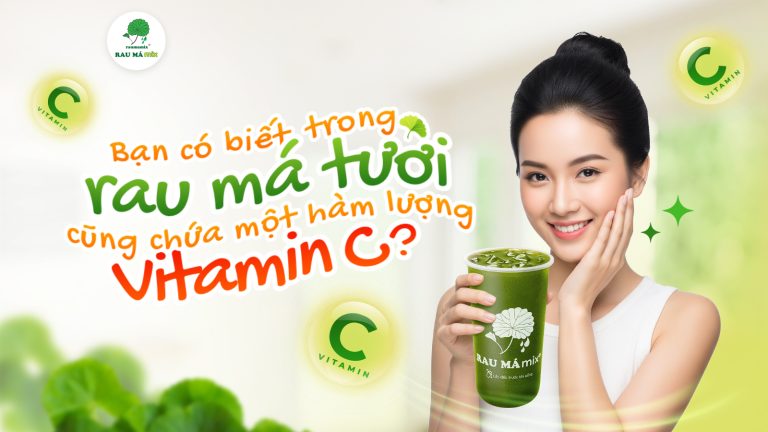 Bạn có biết trong rau má tươi cũng chứa một hàm lượng Vitamin C