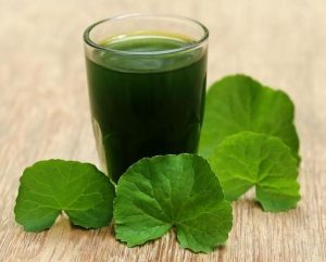 Rau Má Mix làm mới thức uống truyền thống giữa nhịp sống hiện đại