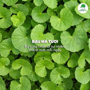Rau má thường được yêu thích nhờ vị xanh đặc trưng và cảm giác thanh mát