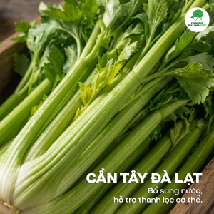 Cần Tây Đà Lạt Chứa Vitamin, Khoáng Chất Và Nhiều Hợp Chất Thực Vật Có Lợi