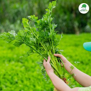 Uống đều đặn, uống vừa đủ và uống thấy vui — đó mới là cách "sống khỏe theo cách của mình" mà Rau Má Mix muốn cùng bạn xây dựng.