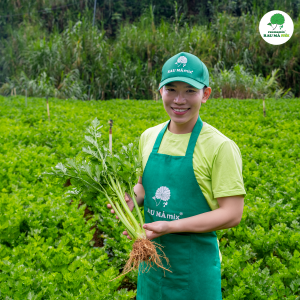 Nước ép cần tây thường là lựa chọn đầu tiên của người đang hạn chế đường, người ăn kiêng hay chỉ đơn giản là muốn một đồ uống healthy không gây cảm giác ngấy.