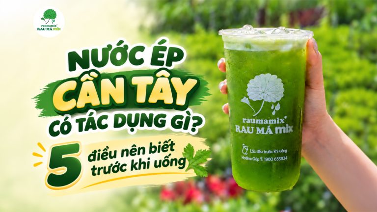 Nước ép cần tây có tác dụng gì? 5 điều nên biết trước khi uống
