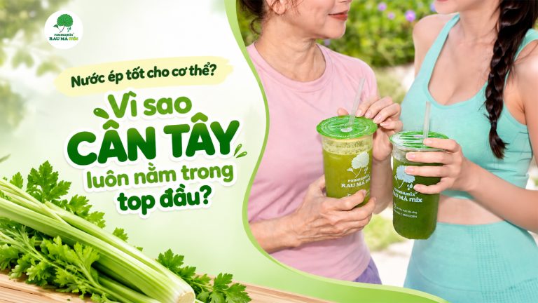 Nước Ép Cần Tây Tốt Cho Cơ Thể: Vì Sao Detox Cần Tây Luôn Nằm Trong Top Đầu?
